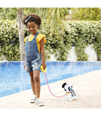 Sevimli Koşu Arkadaşım Dalmayalı Cookie