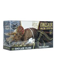 Yarı İskelet Triceratops Seti