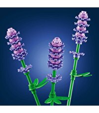 LEGO Botanicals Papatyalar 11508