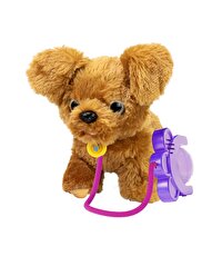 Sevimli Koşu Arkadaşım Golden