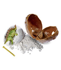 Yumurtalı Dino Kazı Seti