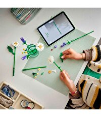 LEGO Botanicals Papatyalar 11508