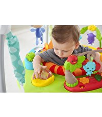 Fisher Price Yağmur Ormanı Jumperoo