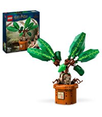 LEGO Harry Potter Adamotu 76433