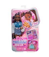 Barbie Dream Besties Brooklyn Bebek ve Aksesuarları HYC22