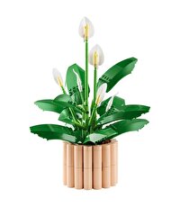 LEGO Botanicals Barış Çiçeği 11504