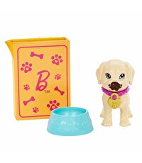 Barbie ve Köpekçikleri Oyun Seti HKD86