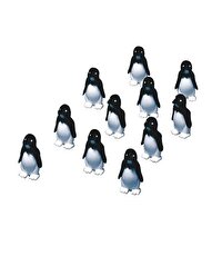 Çılgın Penguenler