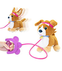 Sevimli Koşu Arkadaşım Latte