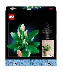 LEGO Botanicals Barış Çiçeği 11504