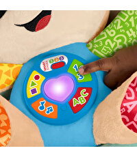 Fisher Price Eğitici Köpekçik Yeni JFD25