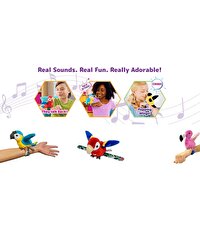 Happy Yappers Slap Bant Konuşan ve Taklit Eden Flamingo