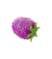 Lesa Fruit Slym Black Mulberry