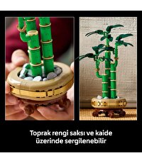 LEGO Botanicals Şans Bambusu 10344