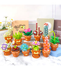 Mega Bitki Çiçekleri Kaktüs 181 Parça