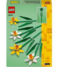 LEGO Iconic Nergis 40747