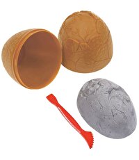 Kazıcı Dinoskeletonlar Stegosaurus