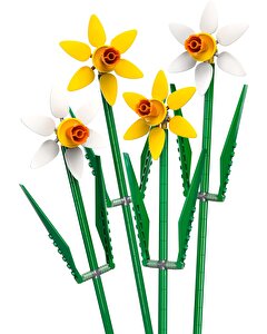 LEGO Iconic Nergis 40747