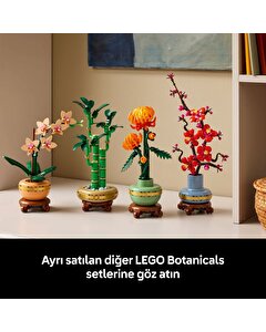 LEGO Botanicals Mini Orkide 10343