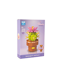 Mega Bitki Çiçekleri Kaktüs 181 Parça