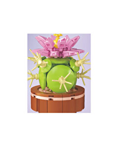 Mega Bitki Çiçekleri Kaktüs 181 Parça