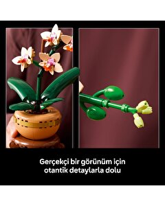 LEGO Botanicals Mini Orkide 10343