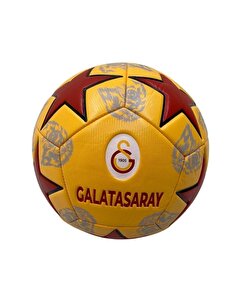 Galatasaray Futbol Topu Lion