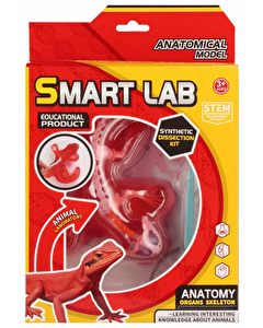 Kertenkele Laboratuvar Seti