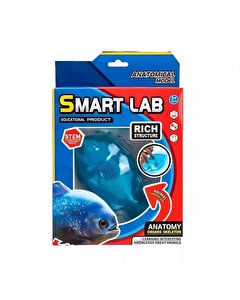 Köpekbalığı Laboratuvar Seti