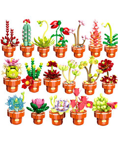 Mega Bitki Çiçekleri Kaktüs 181 Parça