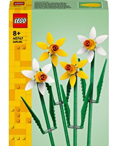 LEGO Iconic Nergis 40747