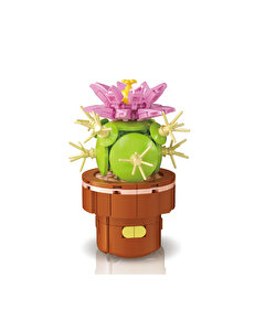 Mega Bitki Çiçekleri Kaktüs 181 Parça