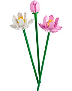 LEGO Iconic Lotus Çiçekleri 40647