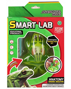 Kurbağa Laboratuvar Seti