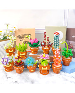 Mega Bitki Çiçekleri Kaktüs 181 Parça