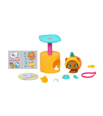 QT Kitties Ginger Yavru Kedi