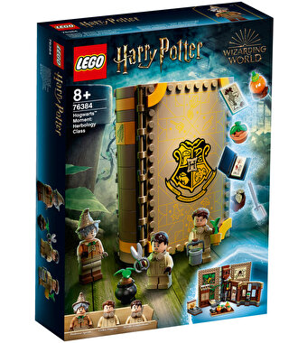 LEGO Harry Potter Hogwarts Anısı Bitkibilim Dersi 76384