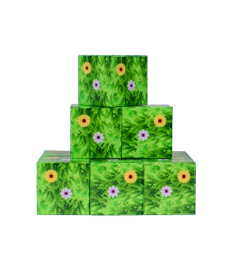 Magnivity Manyetik Bloklar Çiçekli Çim Desenli Blok 9 Parça
