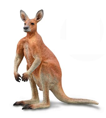 Collecta Erkek Kızıl Kanguru