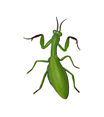 Stretch Çekirge