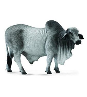 Collecta Brahman Boğa