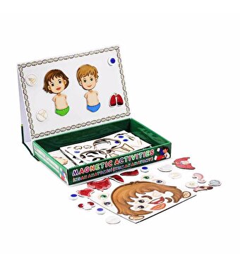 Manyetik İnsan Anatomisi Aktivite Oyun Seti 58 Parça