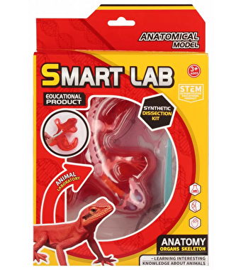 Kertenkele Laboratuvar Seti