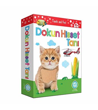 Dokun Hisset Tanı Eğitim Kartları