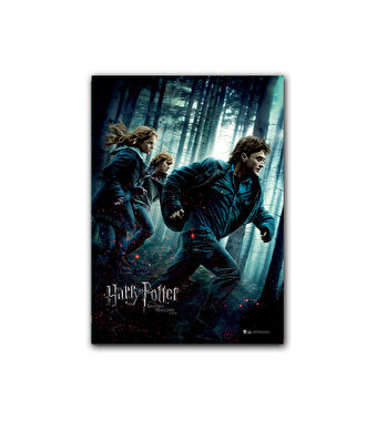 Wizarding World Harry Potter Poster - Deathly Hallows Part 1 Afiş