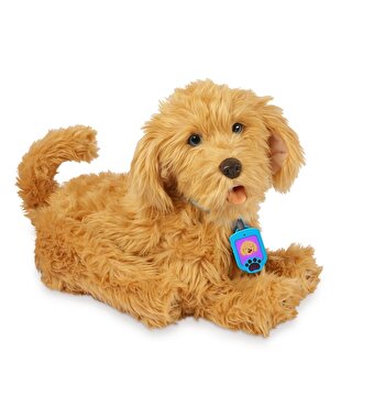 MFF Sevimli Labrador Moji Türkçe 18207