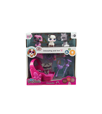 Kutuda 4'lü Köpek Miniş Seti Aksesuarlı Lucky