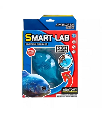 Köpekbalığı Laboratuvar Seti