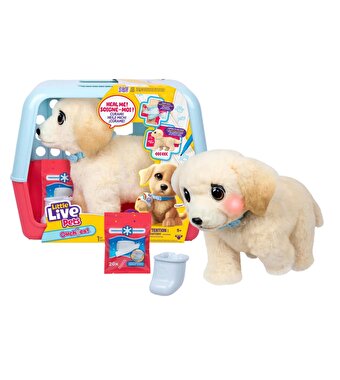 LLP Yavru Köpek İyileşiyor 26679