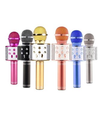 Karaoke Mikrofon WS-858